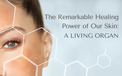 The Remarkable Healing Power of Our Skin: A Living Organ